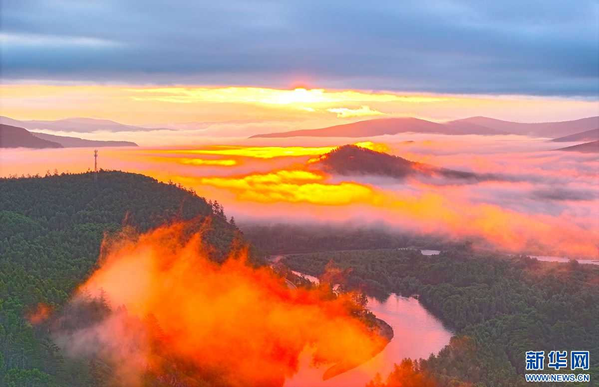 内蒙古大兴安岭：“云海”覆“林海” 绮丽如仙境